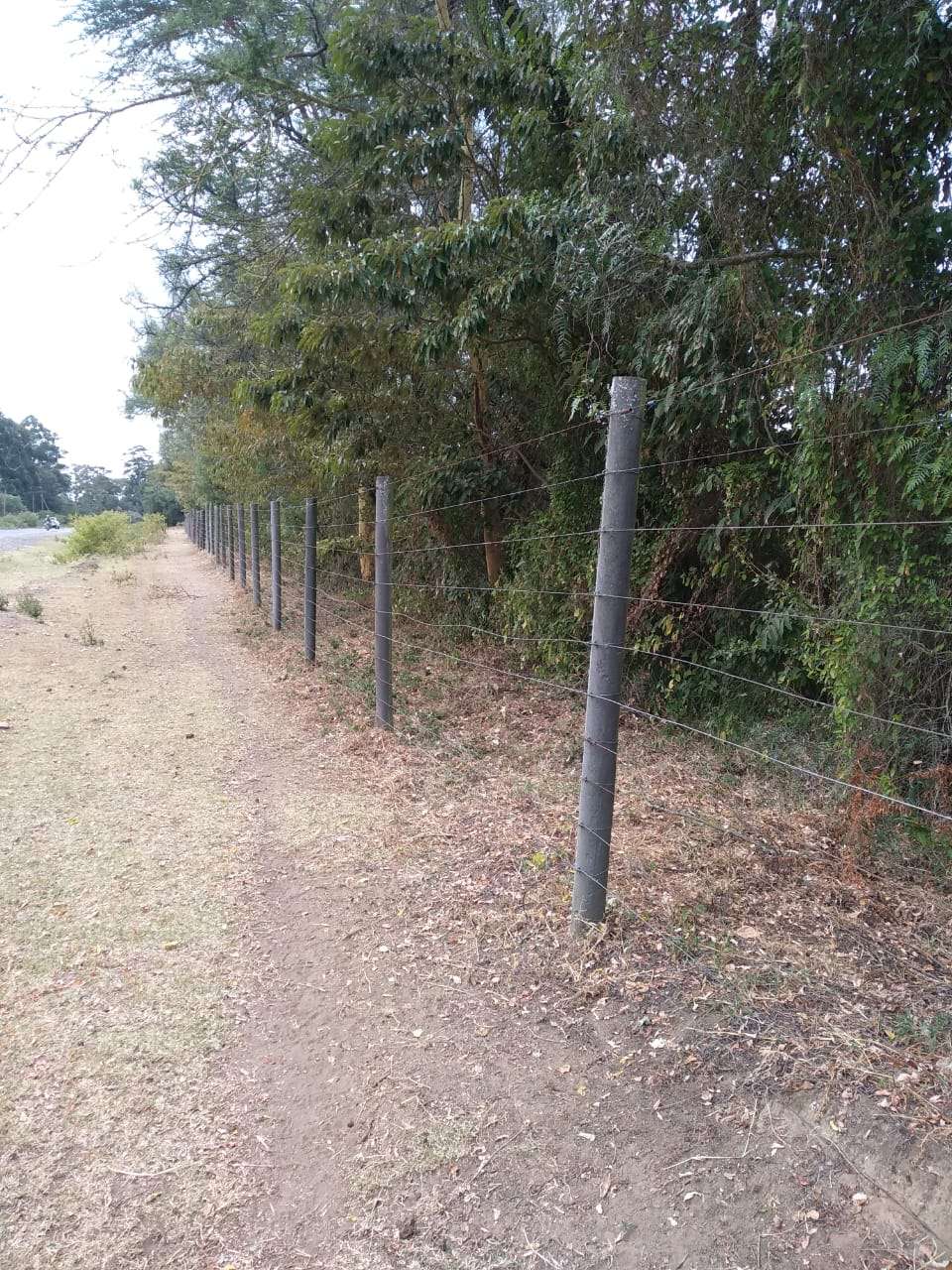 Barbed Wire Attached To Round Posts Recycled From Plastics